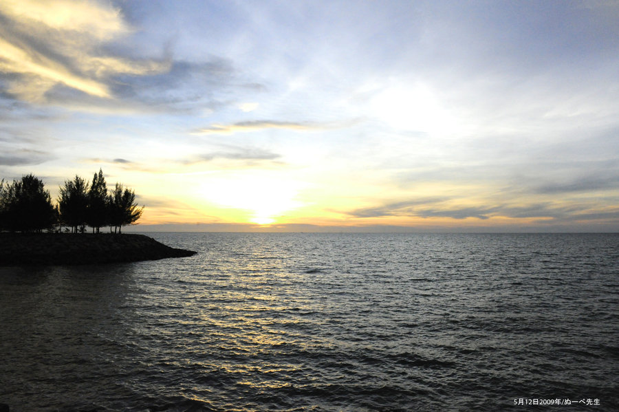 Happy Heart, Joyful Mind by&nbsp;Allison